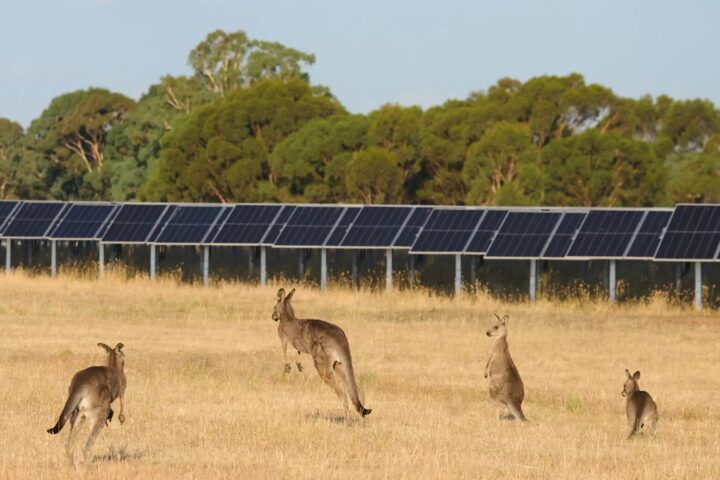 parque solar european energy australia