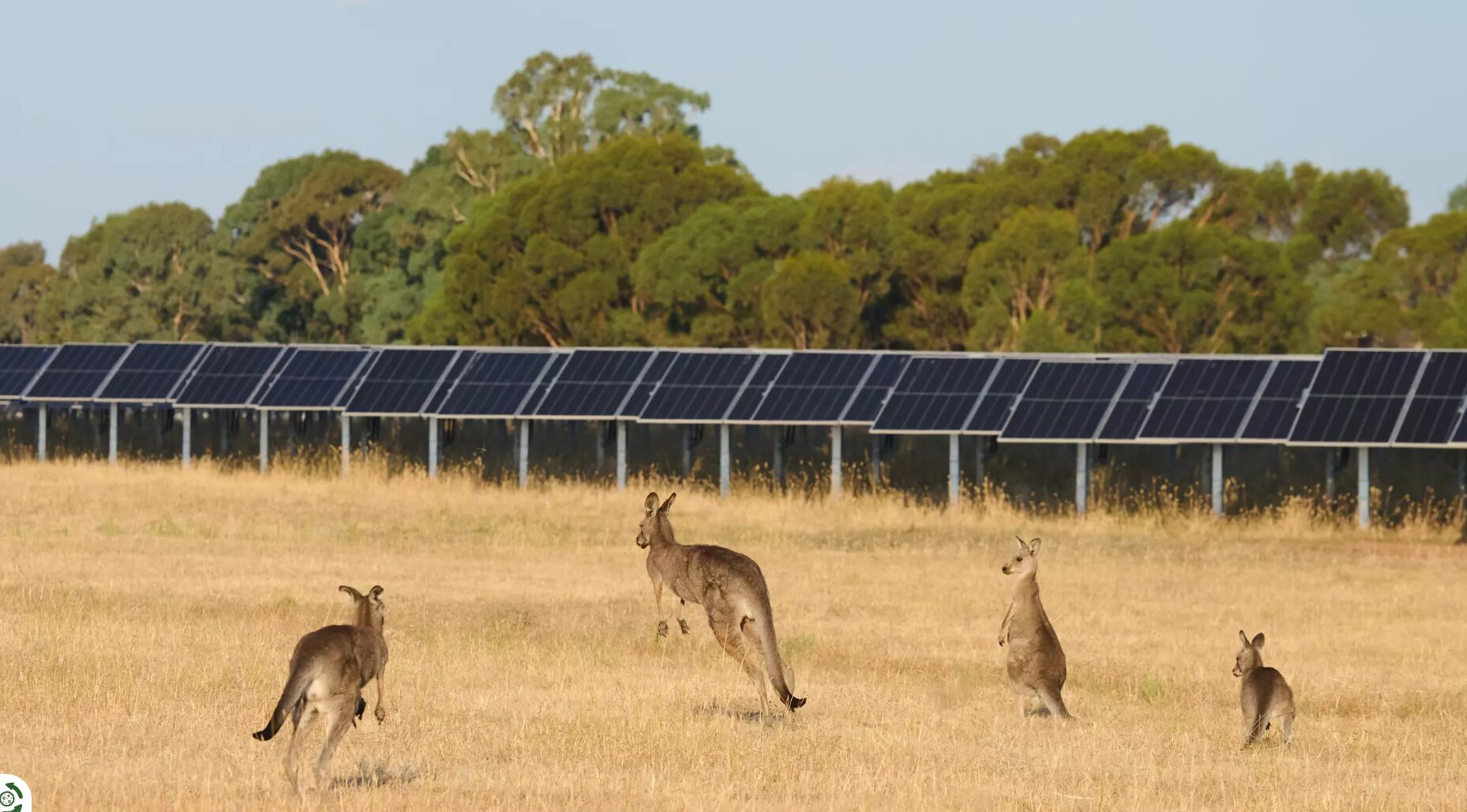 energia solar australia