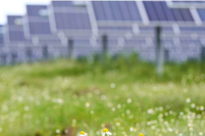 cbs global competition