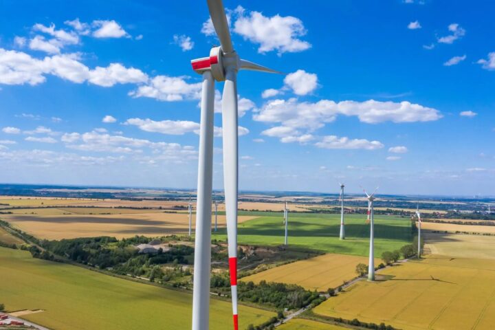parque eólico
